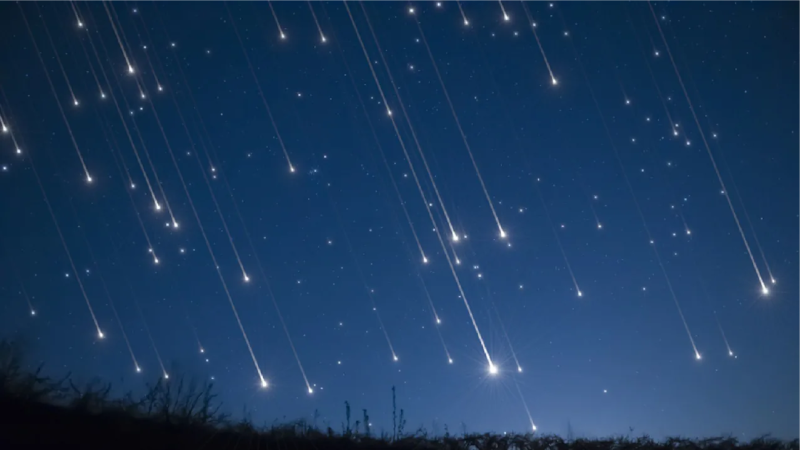 The Delta Aquariids: before the Perseids steal the show